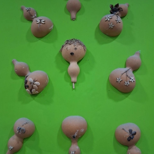 피드 이미지