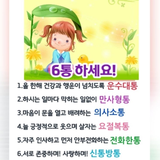 피드 이미지
