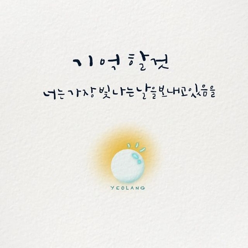 피드 이미지