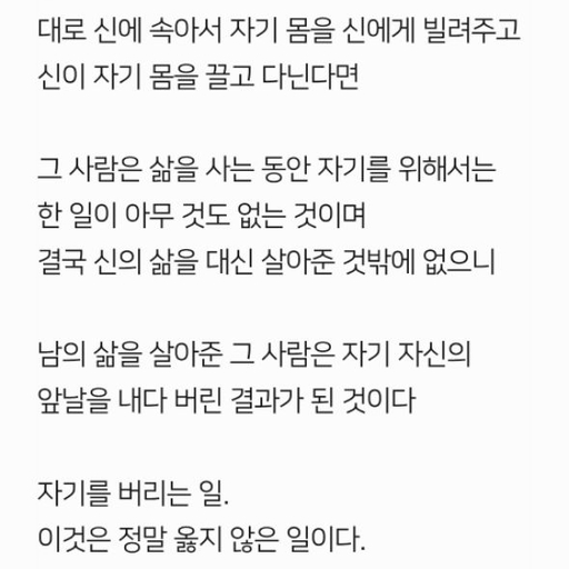 피드 이미지