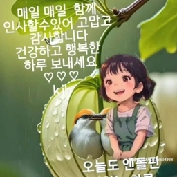 피드에 업로드 된 이미지