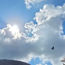 피드에 업로드 된 이미지