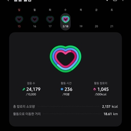 피드에 업로드 된 이미지