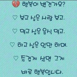피드에 업로드 된 이미지