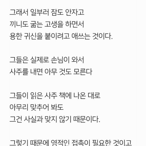피드 이미지
