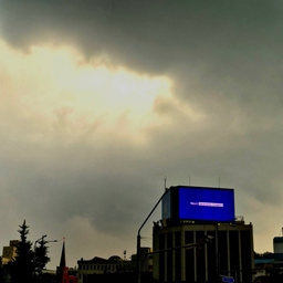 피드에 업로드 된 이미지