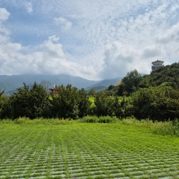 피드에 업로드 된 이미지