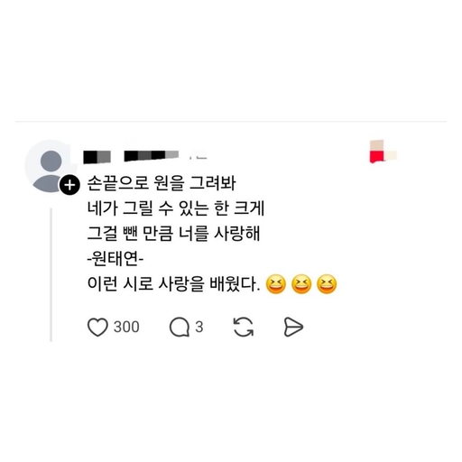 피드 이미지