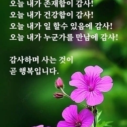 피드에 업로드 된 이미지