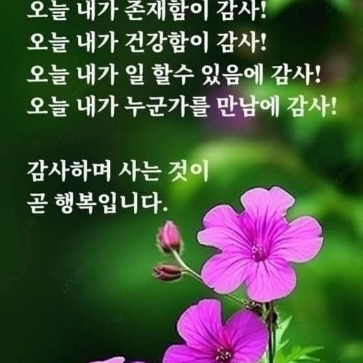 피드 이미지