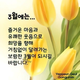 피드에 업로드 된 이미지