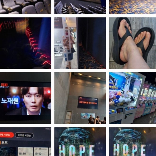 피드 이미지