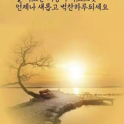피드에 업로드 된 이미지