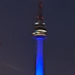 피드에 업로드 된 이미지