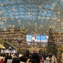 ํผ๋์ ์
๋ก๋ ๋ ์ด๋ฏธ์ง