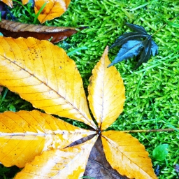 피드에 업로드 된 이미지