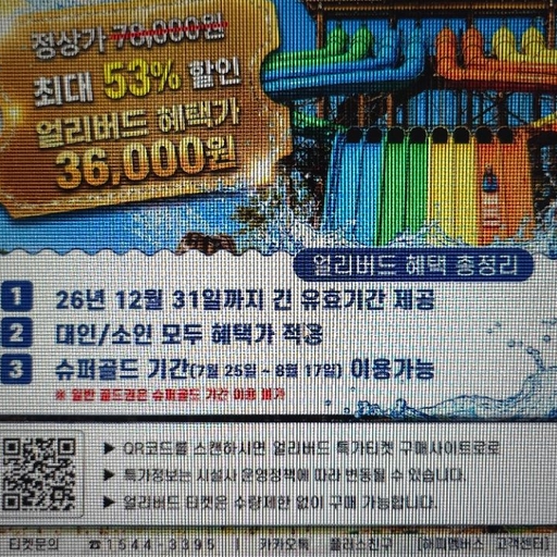 피드 이미지