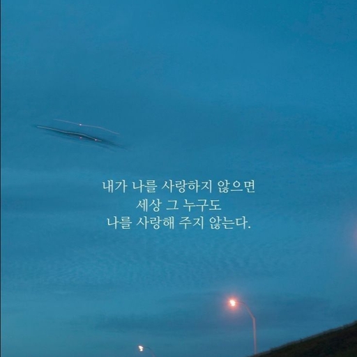 피드 이미지