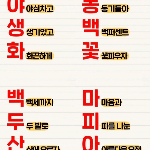 피드 이미지