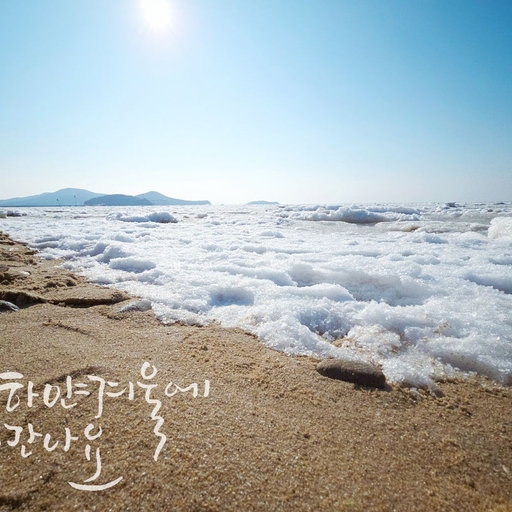 피드 이미지