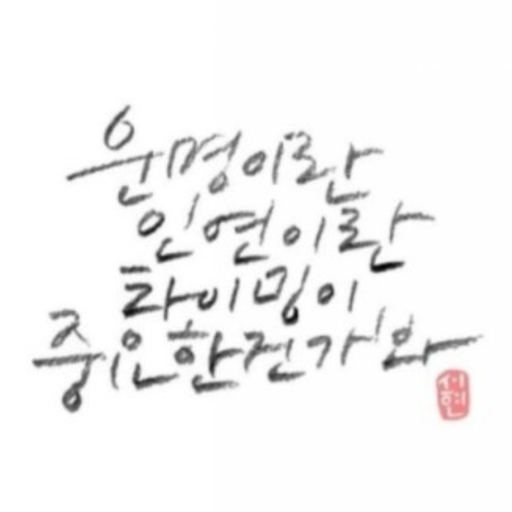 피드 이미지