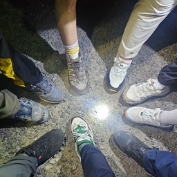 피드에 업로드 된 이미지