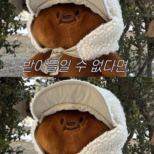 피드 이미지
