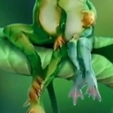 멤버 프로필