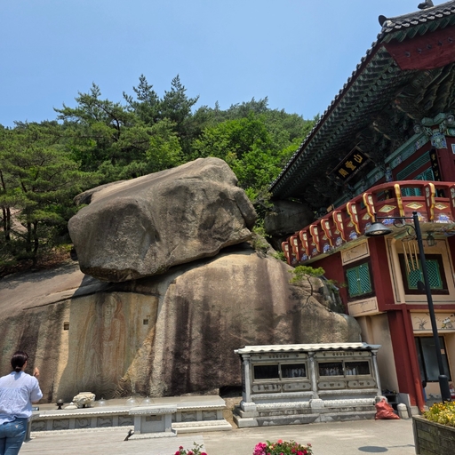 피드 이미지