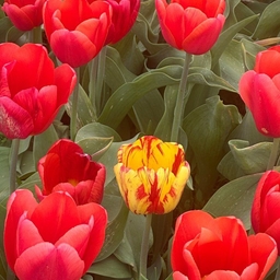 피드에 업로드 된 이미지