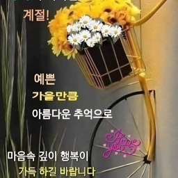 피드에 업로드 된 이미지