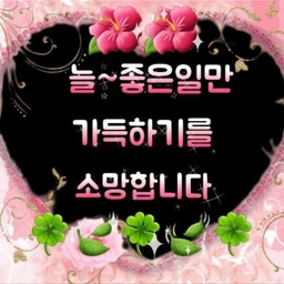 피드에 업로드 된 이미지