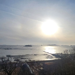 피드에 업로드 된 이미지