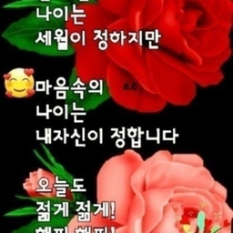피드에 업로드 된 이미지