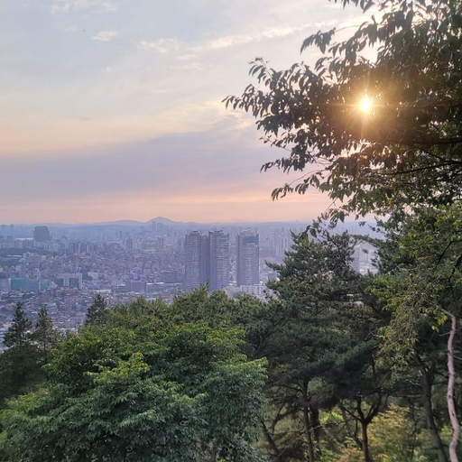 피드 이미지