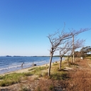 멤버 프로필