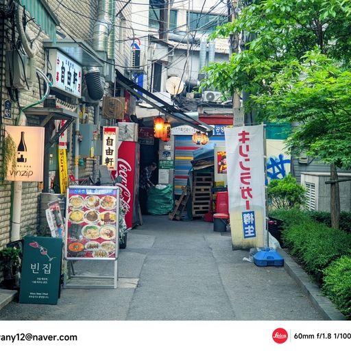피드 이미지