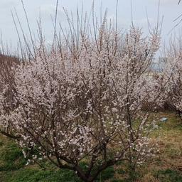 ํผ๋์ ์
๋ก๋ ๋ ์ด๋ฏธ์ง