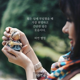 피드에 업로드 된 이미지