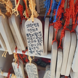 피드에 업로드 된 이미지