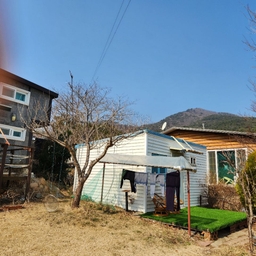 피드에 업로드 된 이미지