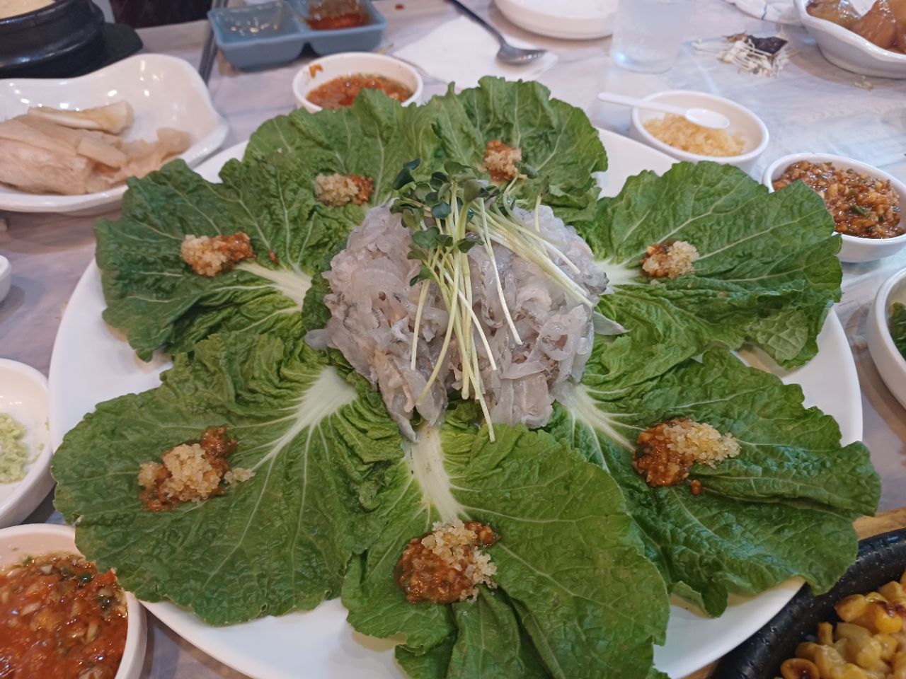 피드 이미지