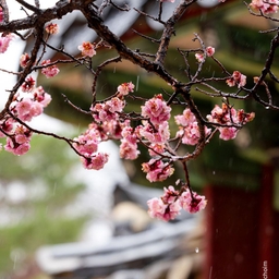 피드에 업로드 된 이미지