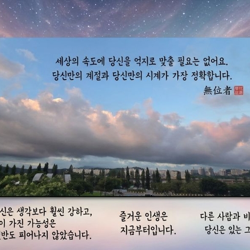피드 이미지