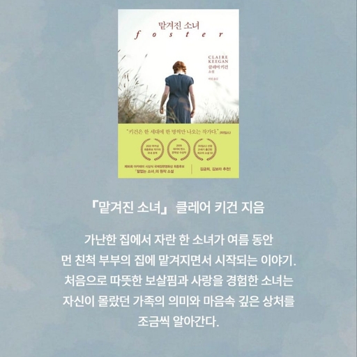 피드 이미지
