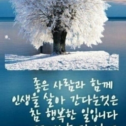 피드에 업로드 된 이미지