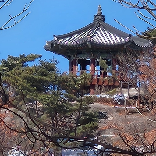 피드 이미지