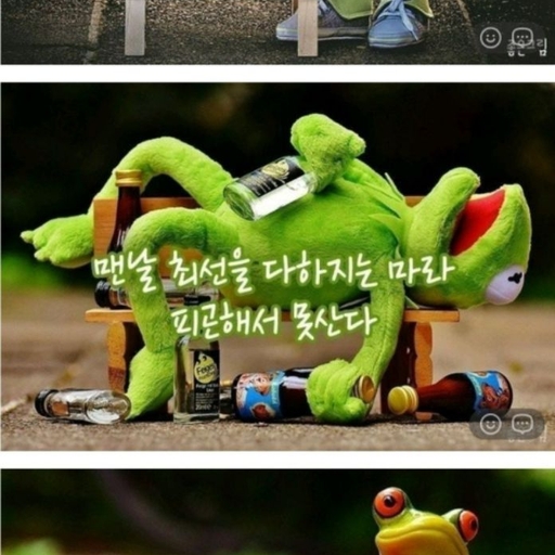 피드 이미지