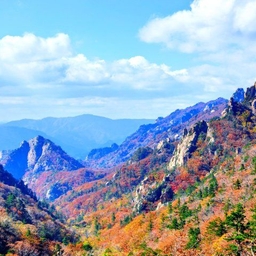 피드에 업로드 된 이미지