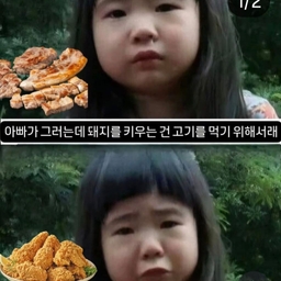 피드에 업로드 된 이미지